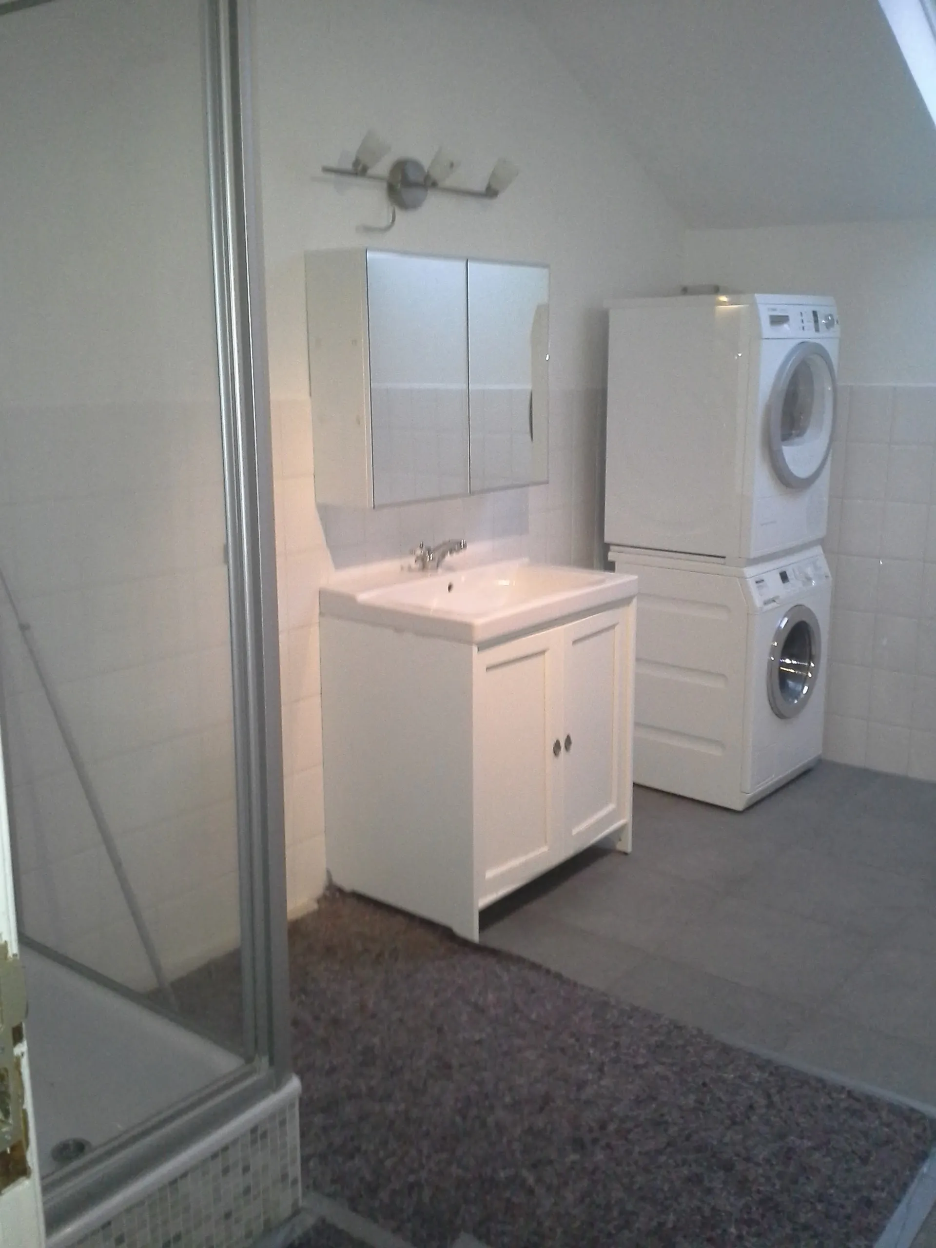 vonOhlen- Badezimmer Renovierung im DG